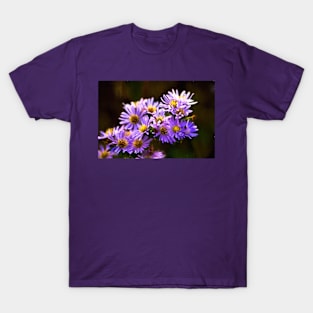 Michaelmas Daisies - Digital Art T-Shirt